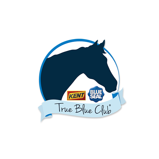 TrueBlueClub web site promo stripe