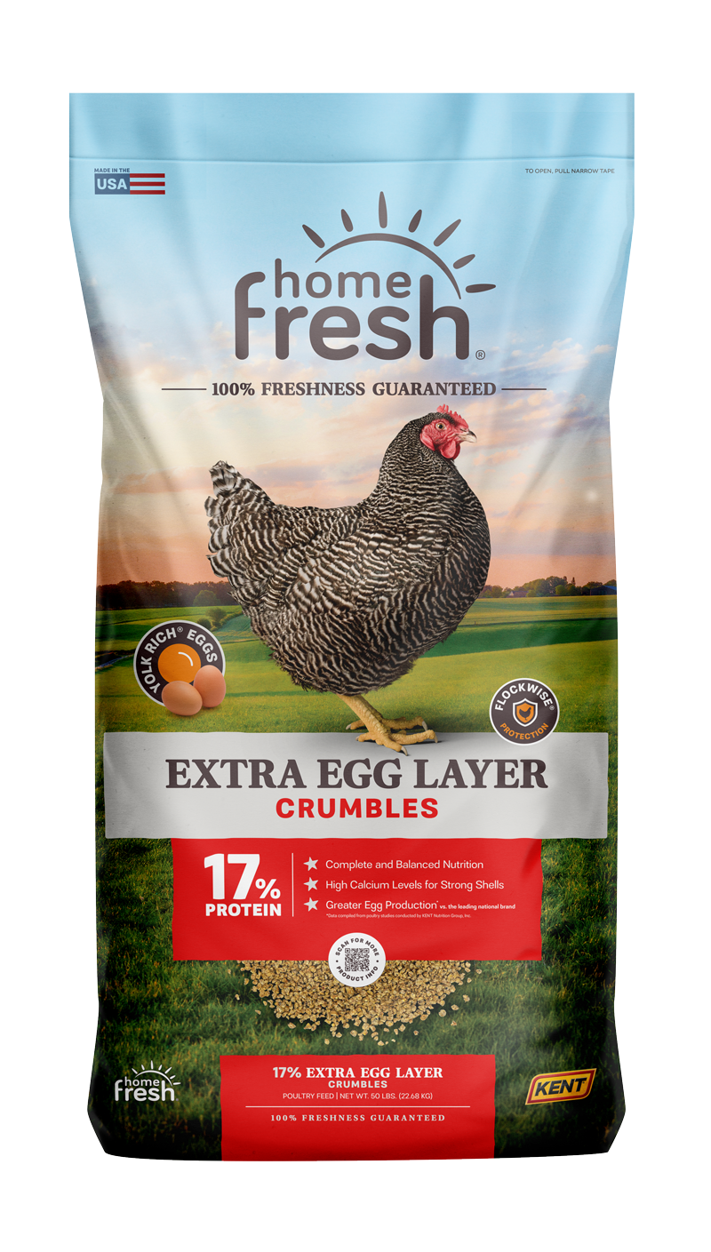 Home Fresh 50lb Extra Egg Layer Poultry Feed Crumbles