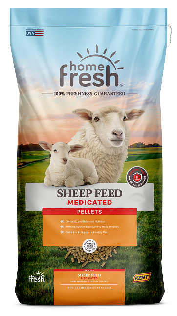 Home Fresh Sheep