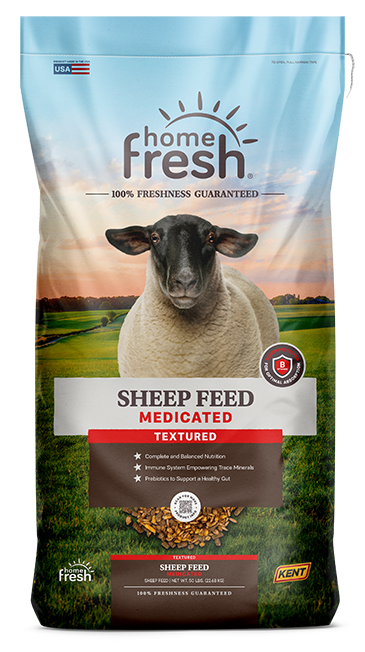 Home Fresh Sheep Feed