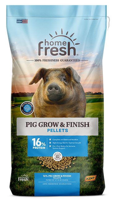 Pig Grow & Finish