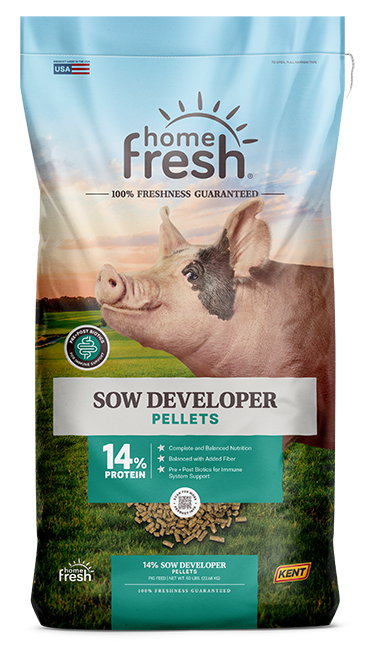 SOW DEVELOPER