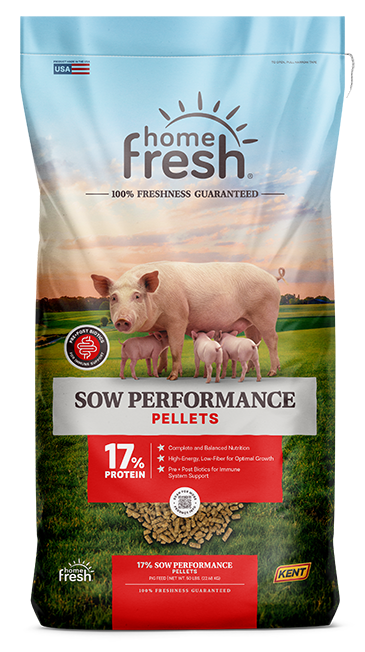 SOW PERFORMANCE