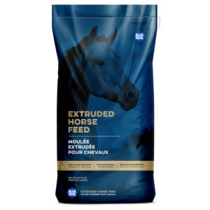 Sentinel Grow & Excel - Canada