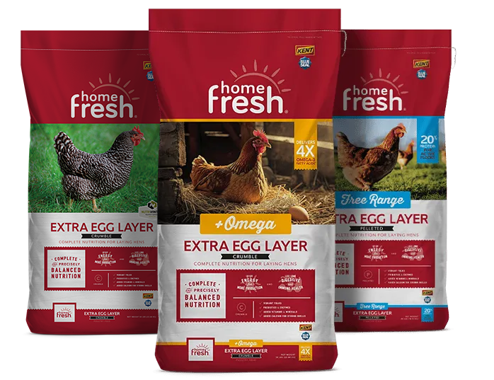 Group of Chicken Feed, Home Fresh Extra Egg Layer +Omega and Free Range