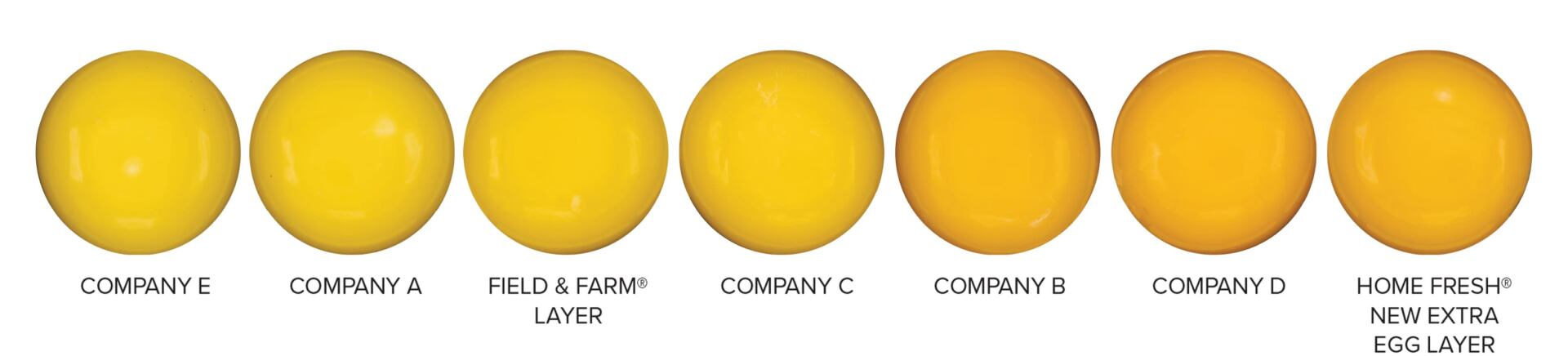 Yolk color comparison