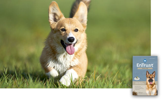 EnTrust Grain Free Products - dog running