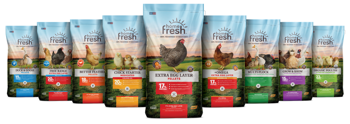 HF Poultry Lineup