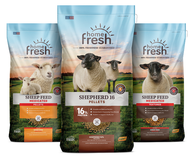 Home Fresh Sheep Lineup