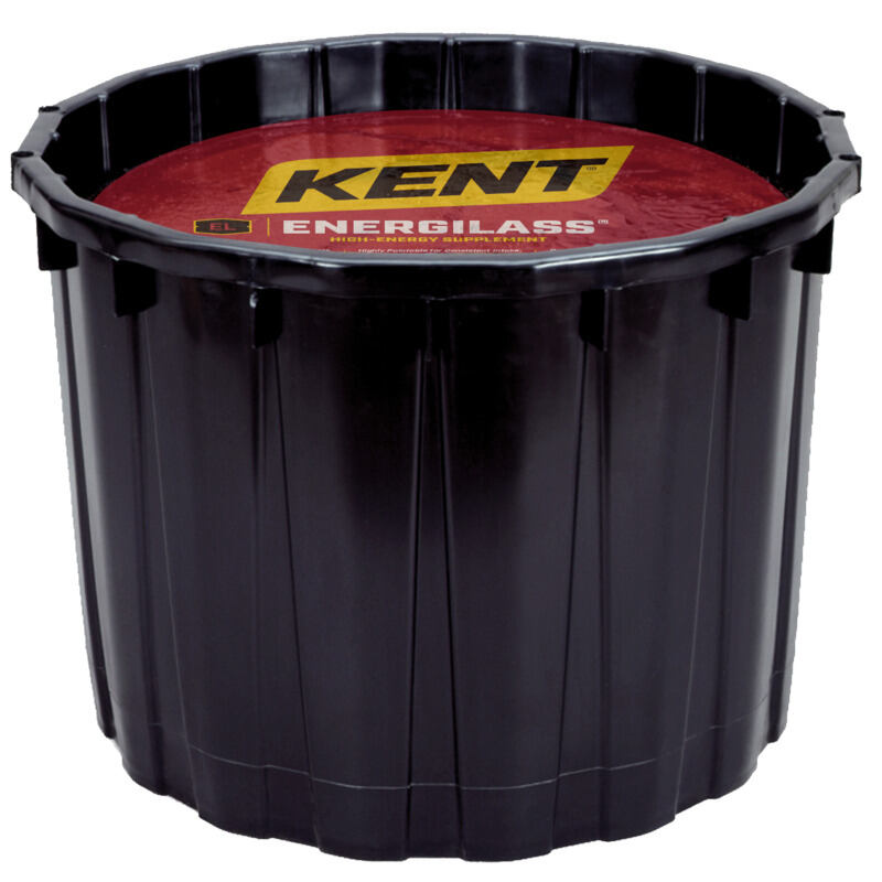 EnergiLass Super Hi-Mag 12
