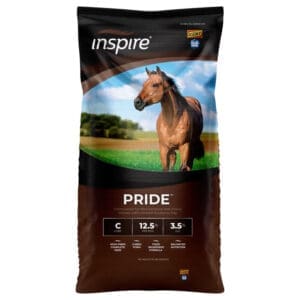 Inspire Pride