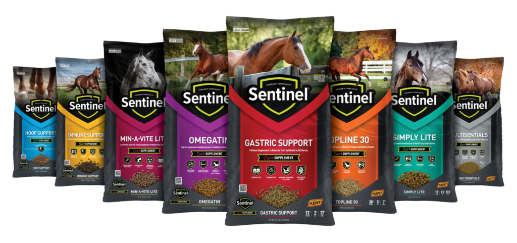 Sentinel Care Full Lineup of Horse products