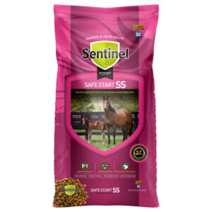 Sentinel Safe Start