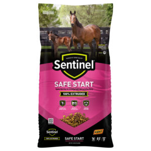 Sentinel Safe Start