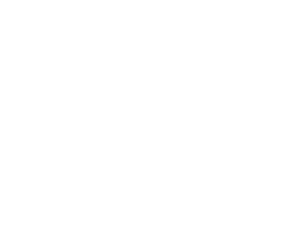 Kent Show Feeds - all bags
