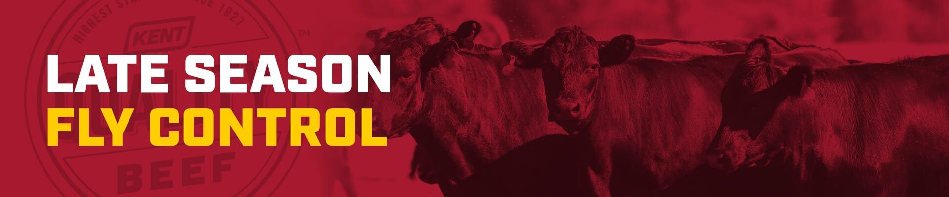 Late Season Fly Control with Kent Quality Beef