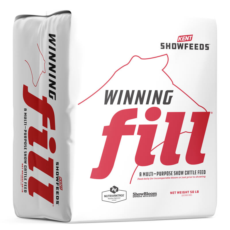 Winning Fill