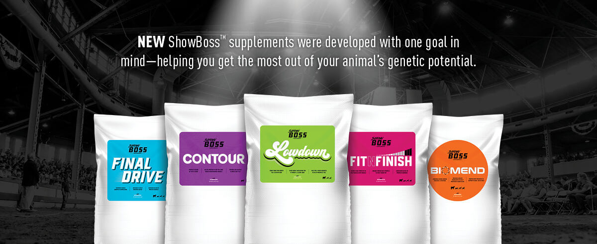 KentShowBoss-SupplementsBanner