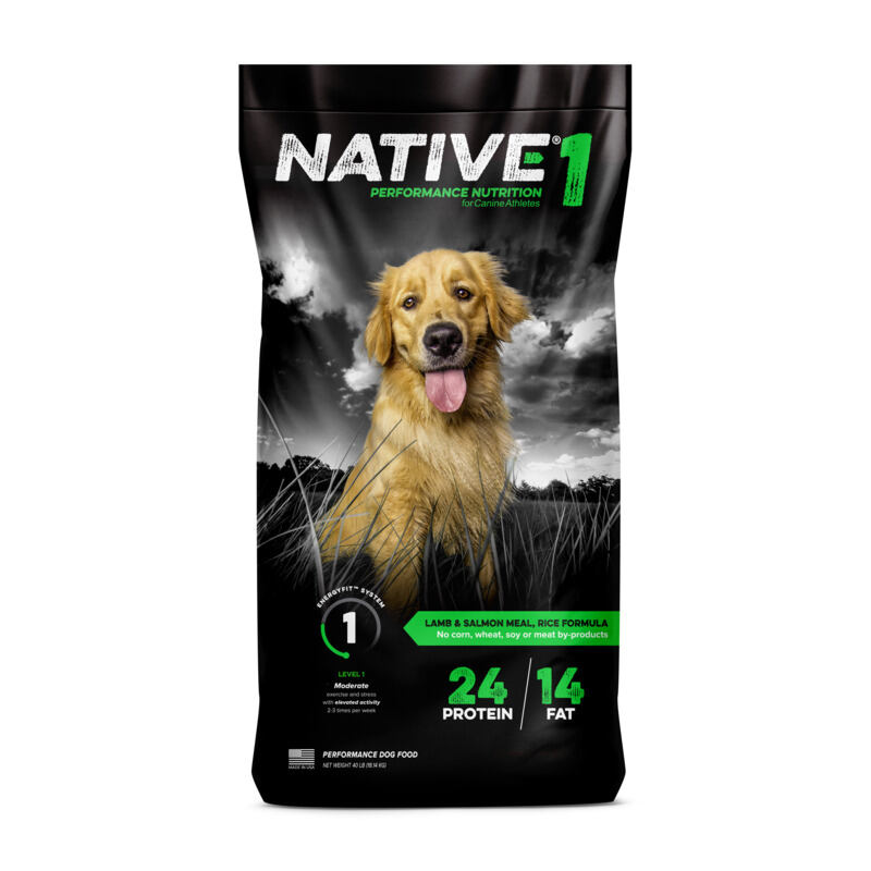 Native Level 1