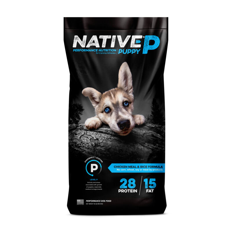 Native Puppy