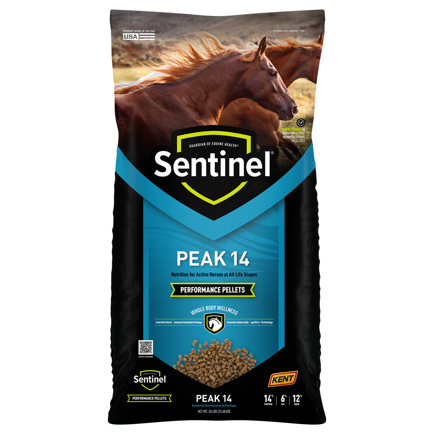 Sentinel Peak 14