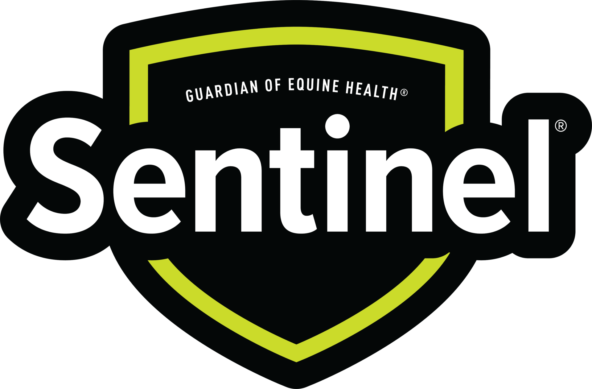 Sentinel 3C logo