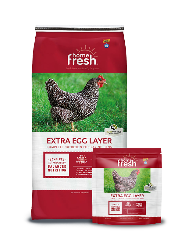 Home Fresh Extra Egg Layer
