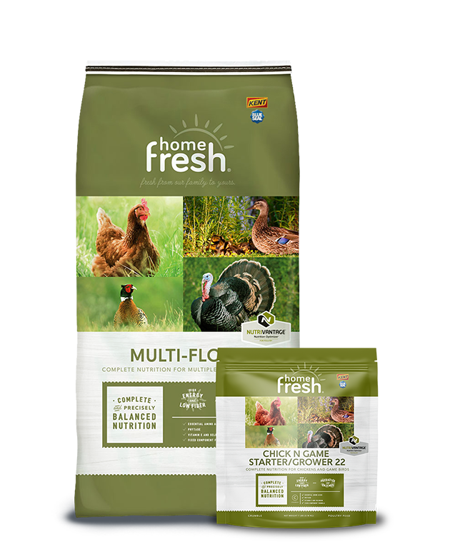 Home Fresh Multi-flock