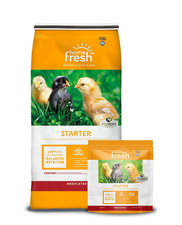 Home Fresh Starter