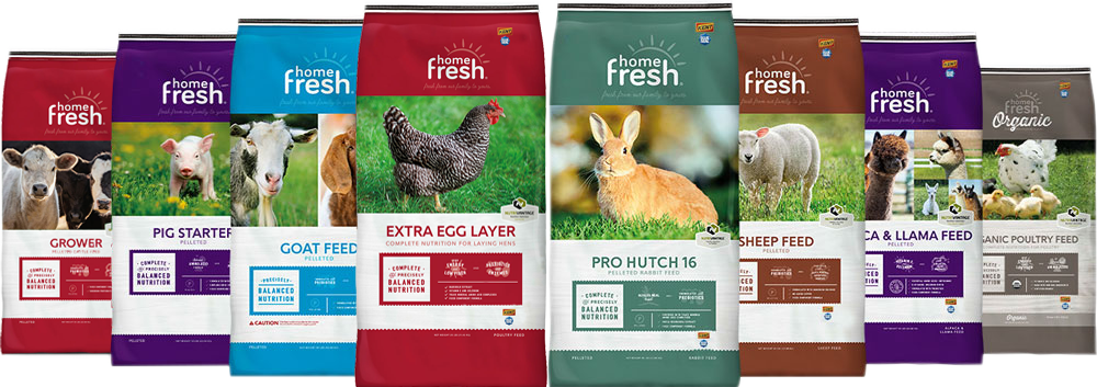 UBS-home-fresh-lockup-FULL-LINE_1000