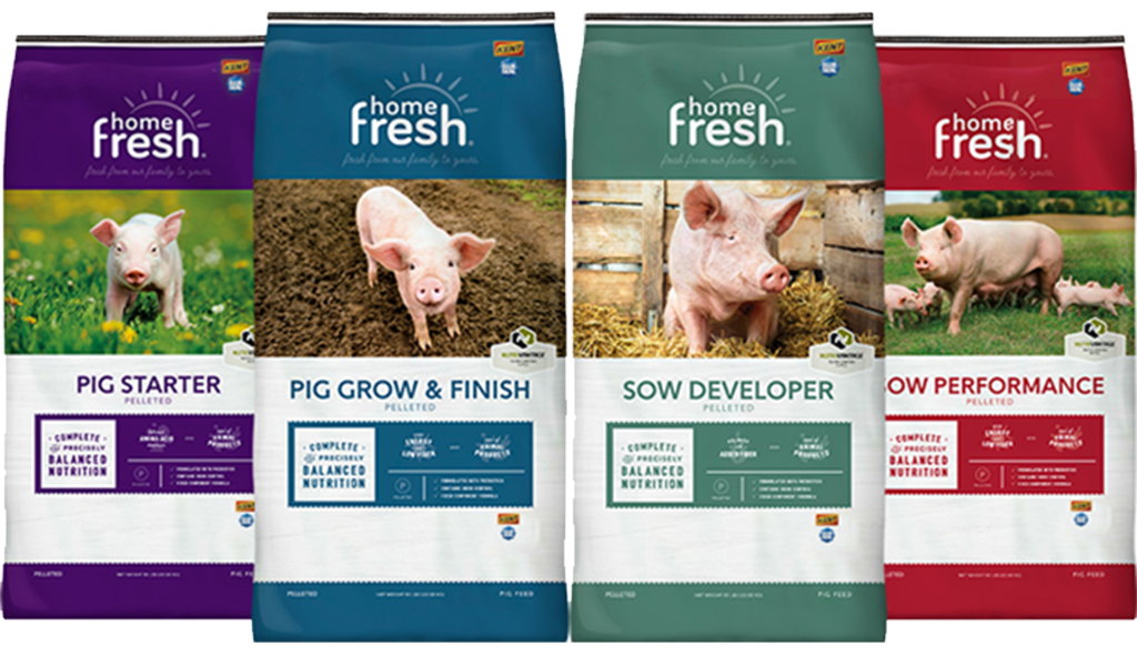 UBS-home-fresh-lockup-SWINE UBS-home-fresh-lockup-SWINE