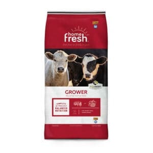Home Fresh Cattle Grower
