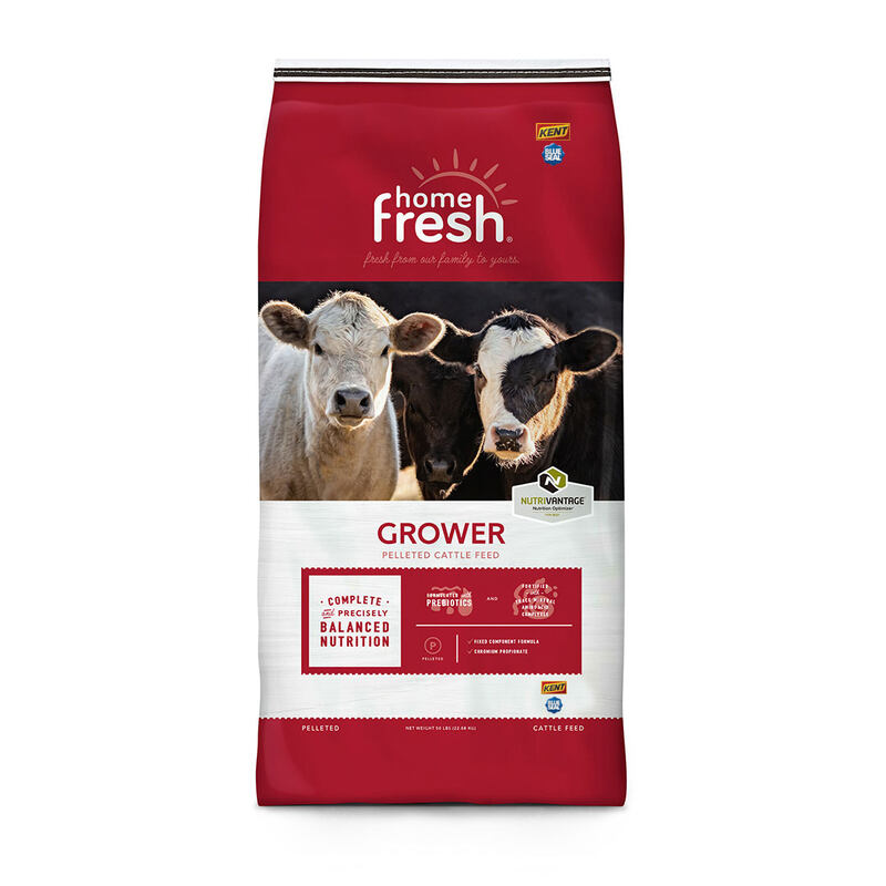 Home Fresh Cattle Grower