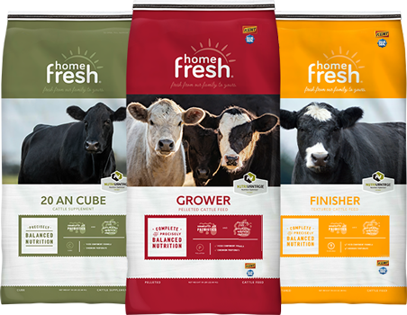 USB-home-fresh-lockup-CATTLE_452