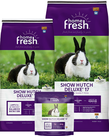USB-home-fresh-lockup-ShowHutchDeluxe17Sizes_420