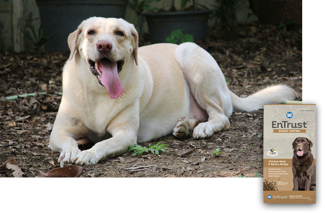 EnTrust Weight Control
