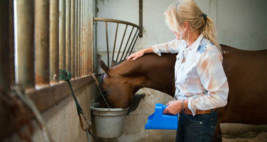 An equine nutritionist feeding a horse inside of a stable