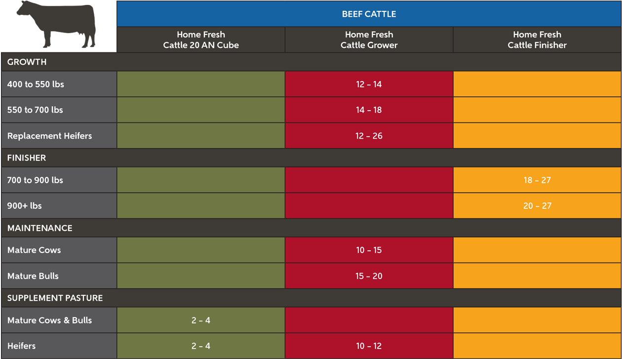 Blue Seal Home Fresh Cattle Feediing Suggestions chart