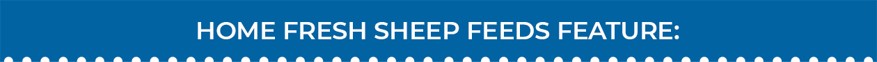 Blue Seal Home Fresh Sheep