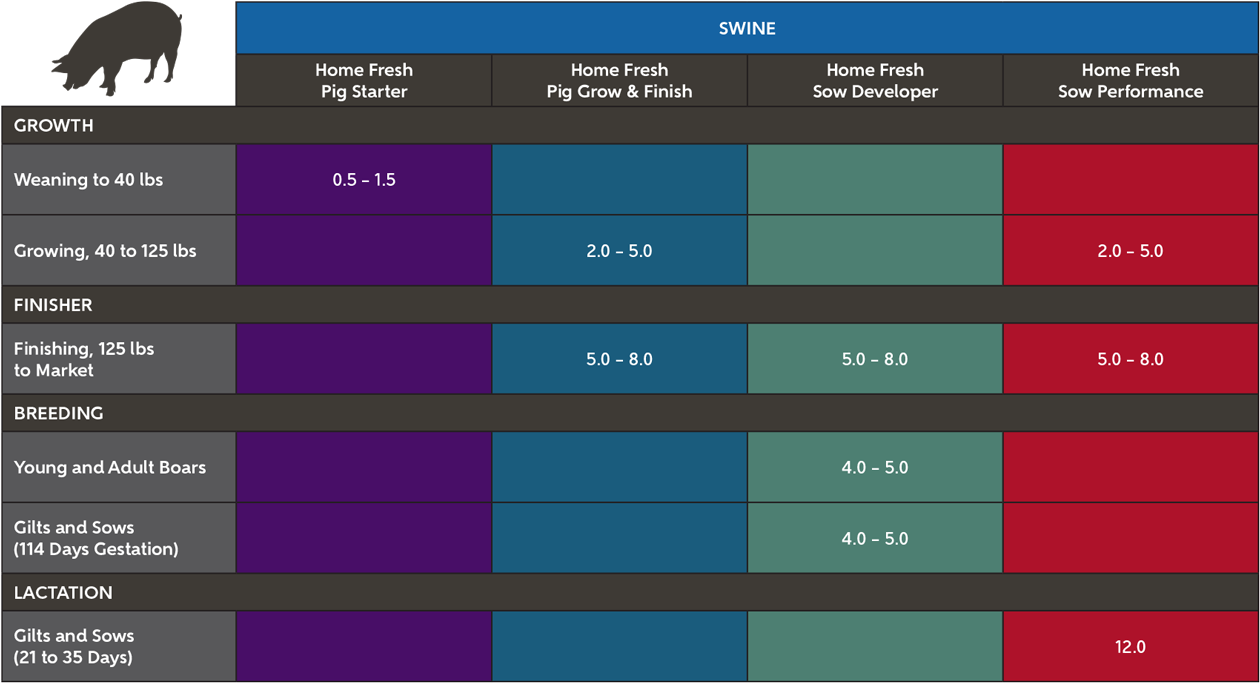 Blue Seal Home Fresh Swine Feeding Suggestions Blue Seal Home Fresh Swine Feeding Suggestions chart