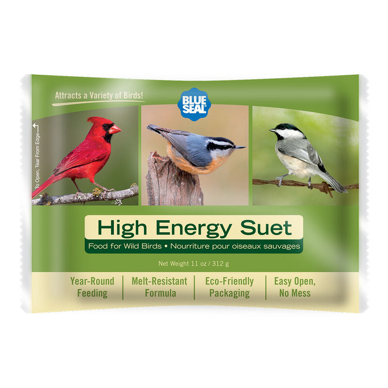 High Energy Suet Cake