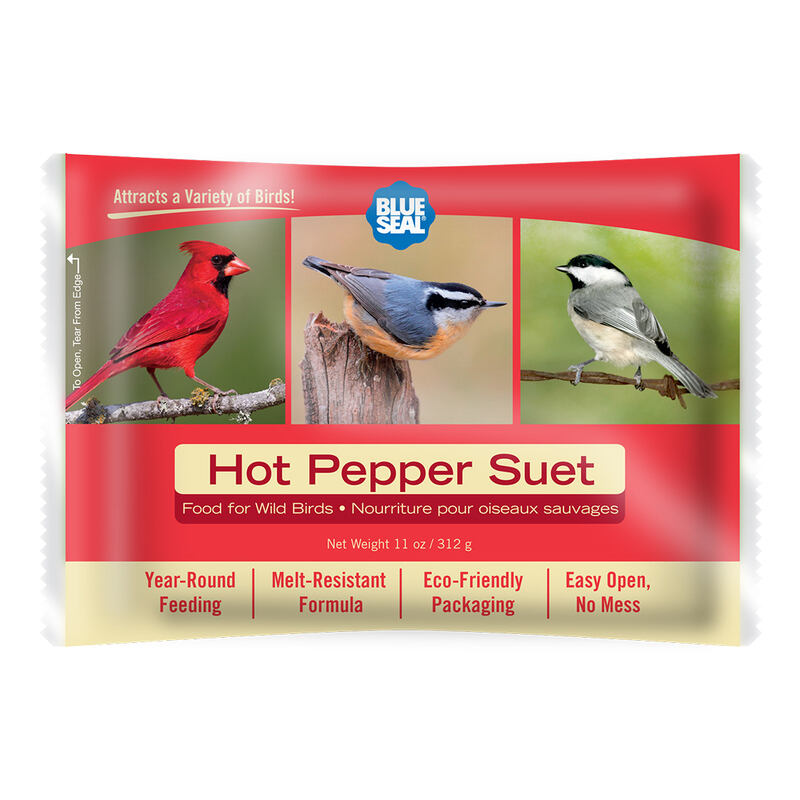 Hot Pepper Suet Cake
