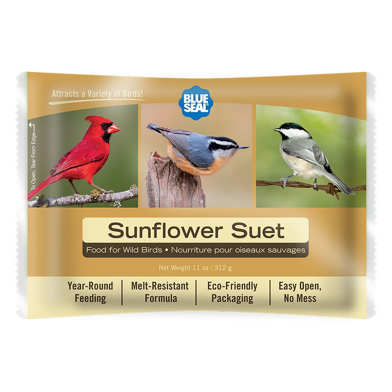 Sunflower Suet Cake