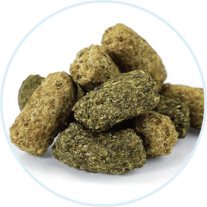 close-up of extruded horse feed nuggets