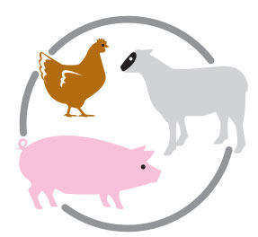 Real chicken, pork, or lamb protein