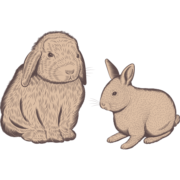 Field and Farm Rabbit Illustration