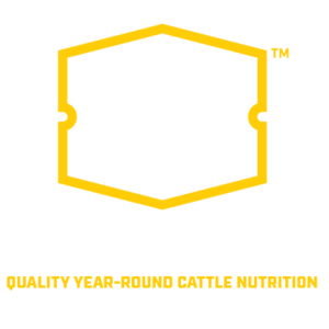 Framework Logo