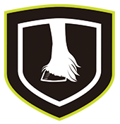 Healthy Skin and Hair Coat icon