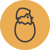 chick coming out of egg