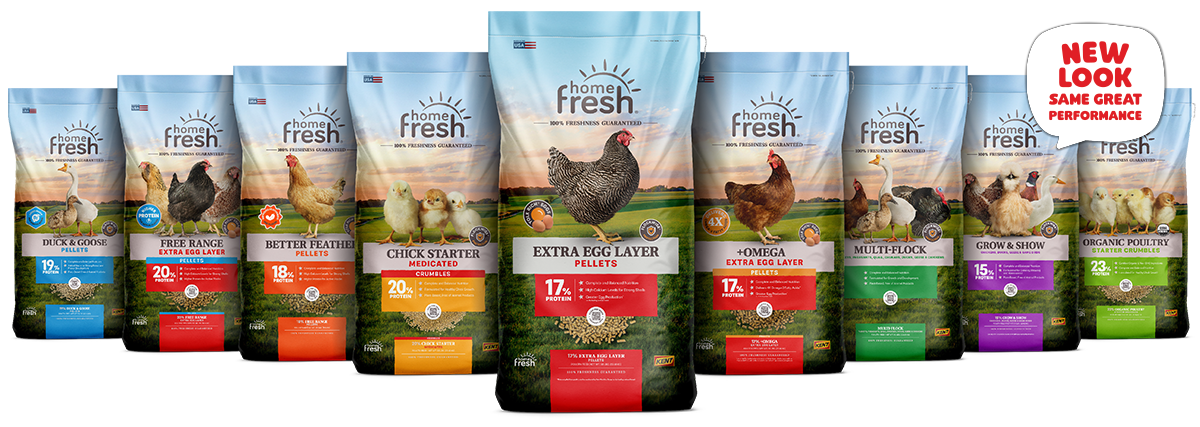 home-fresh-poultry-lineup-new-look